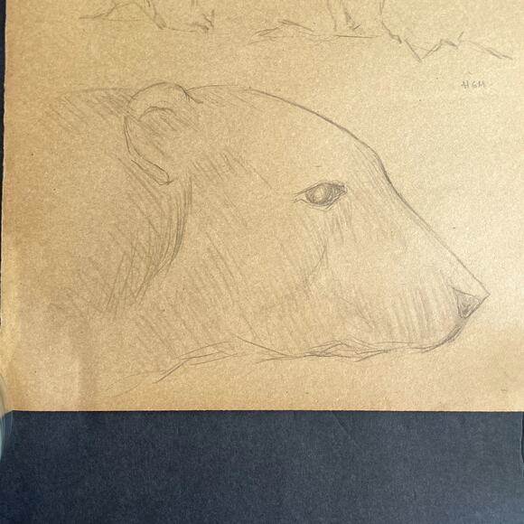Vintage Original Polar Bear Study Pencil Sketch HGM - Picture 5 of 6